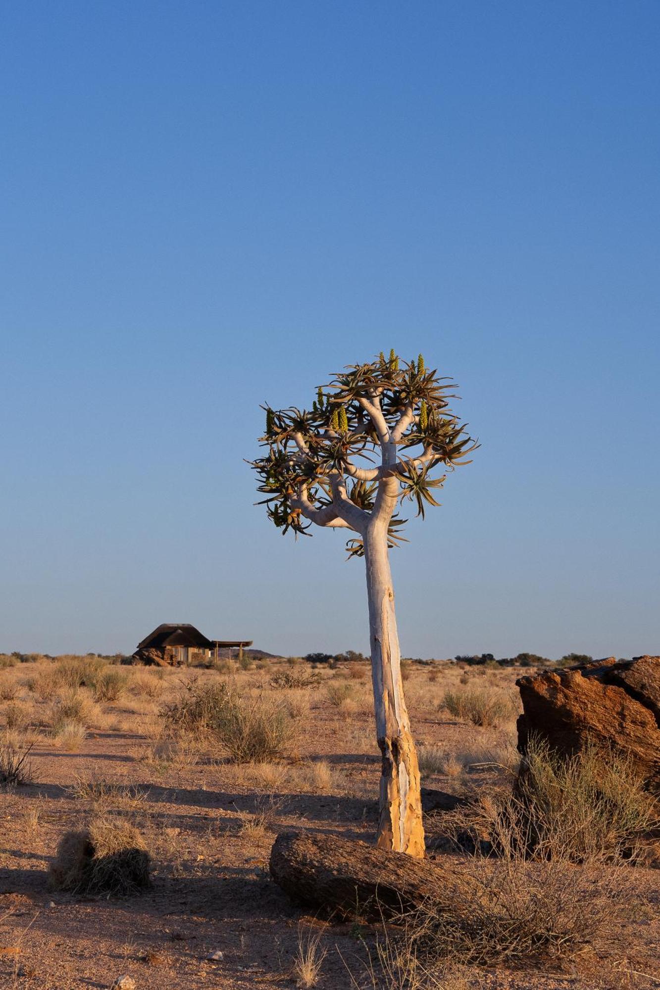 Sandfontein Lodge & Nature Reserve ภายนอก รูปภาพ