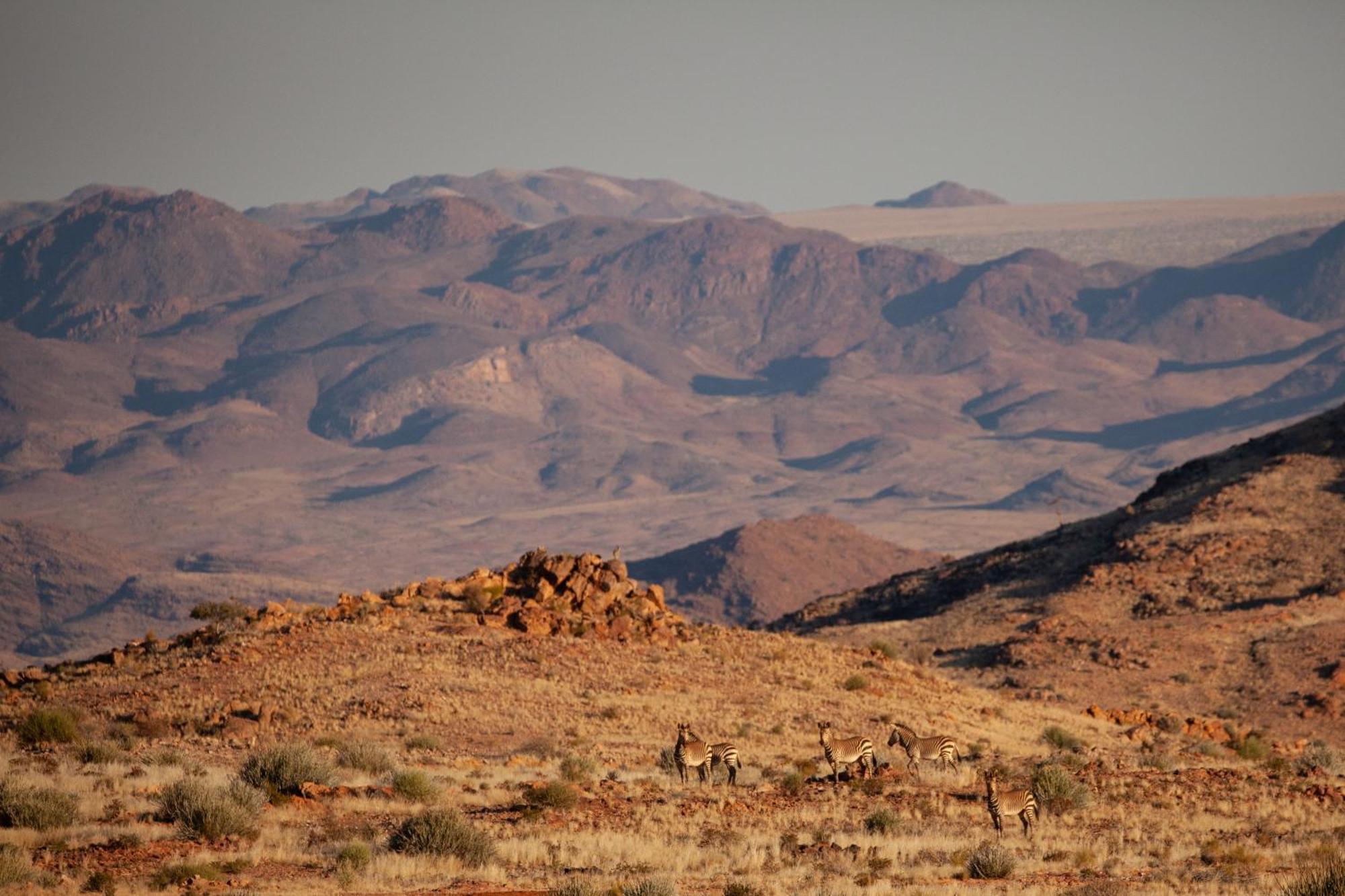 Sandfontein Lodge & Nature Reserve ภายนอก รูปภาพ