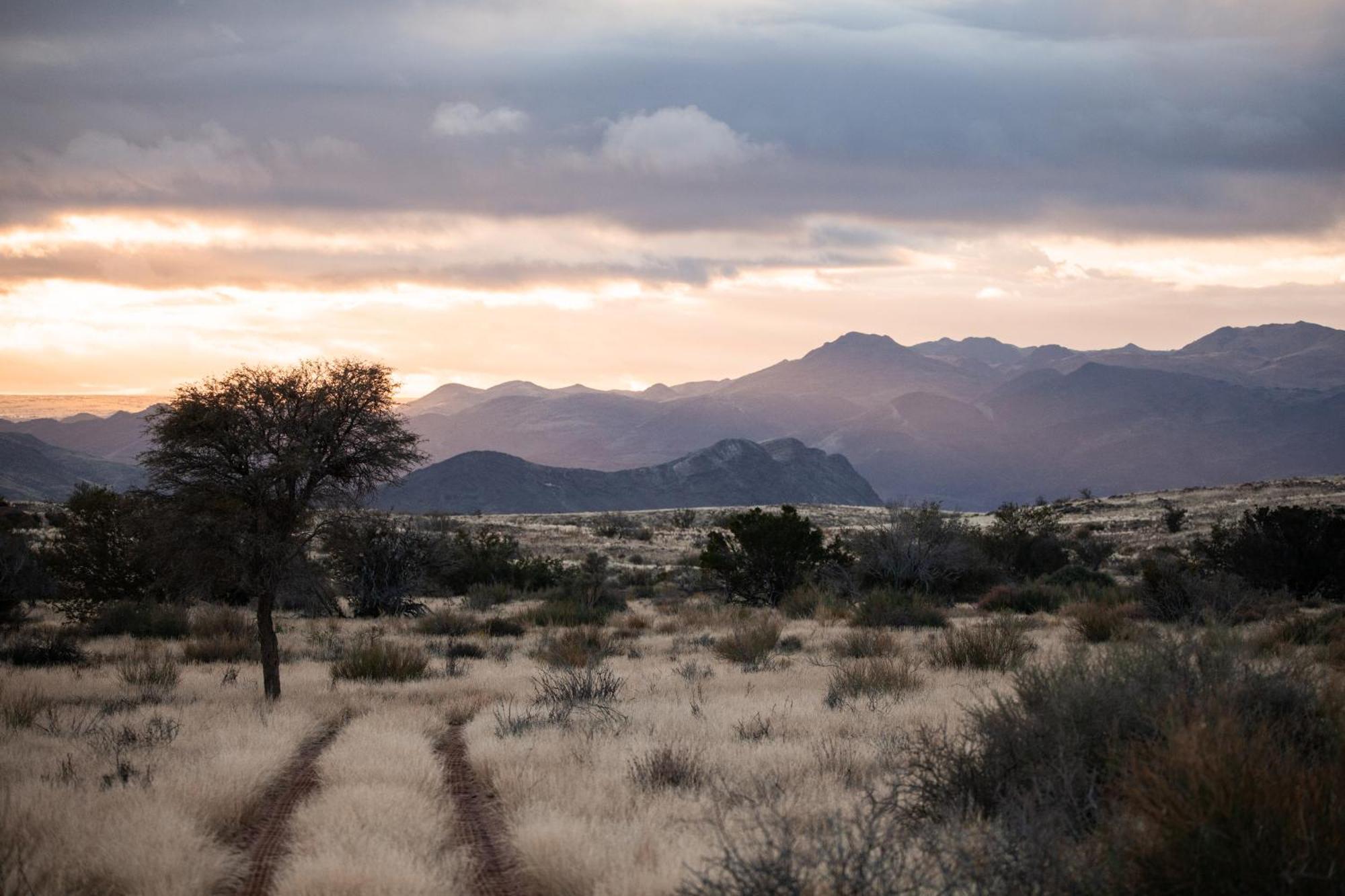 Sandfontein Lodge & Nature Reserve ภายนอก รูปภาพ