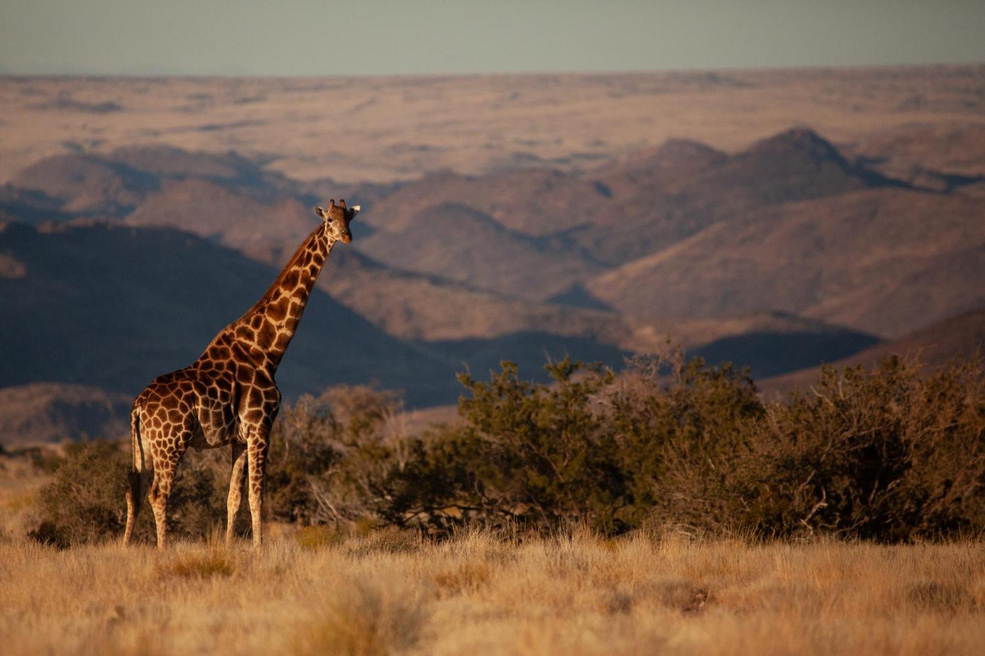 Sandfontein Lodge & Nature Reserve ภายนอก รูปภาพ