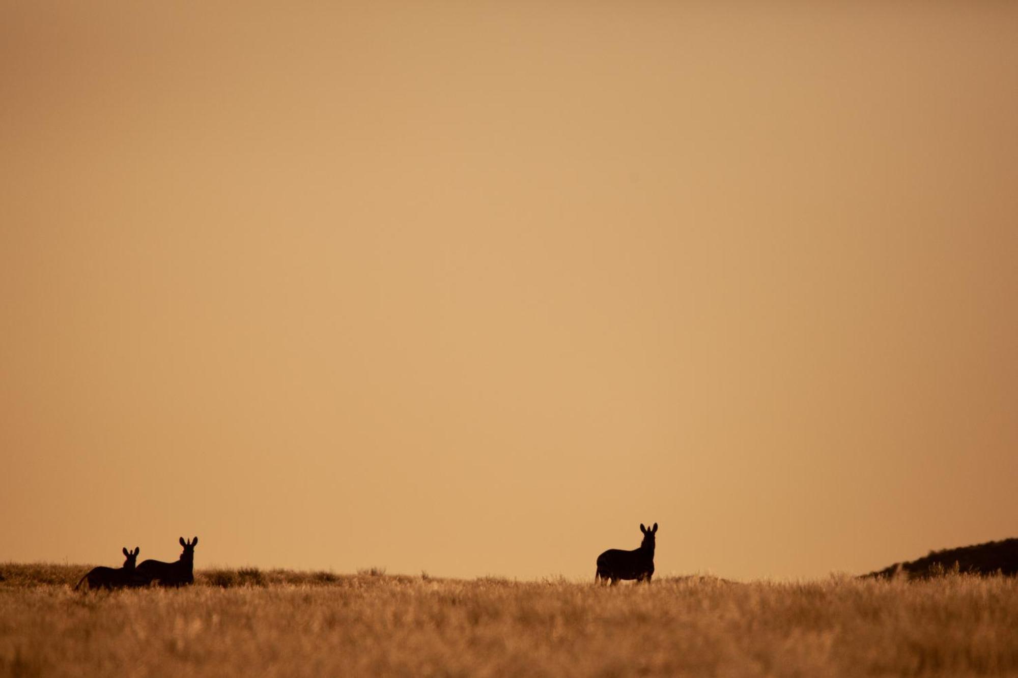 Sandfontein Lodge & Nature Reserve ภายนอก รูปภาพ
